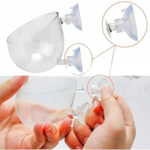 Planet Gates WHITE Aquarium Decoration Fish Tank Small Glass Pot Water Potted Planting Cylinder Cup Rearing Landscape Basin