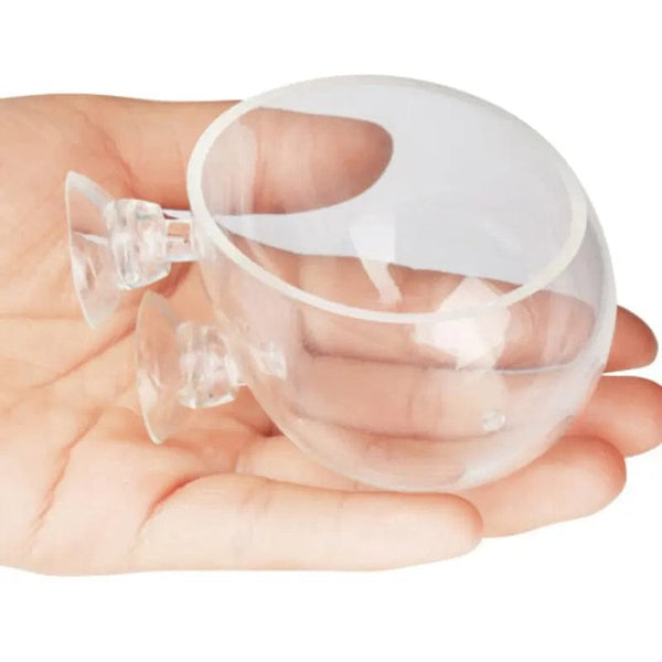 Planet Gates WHITE Aquarium Decoration Fish Tank Small Glass Pot Water Potted Planting Cylinder Cup Rearing Landscape Basin