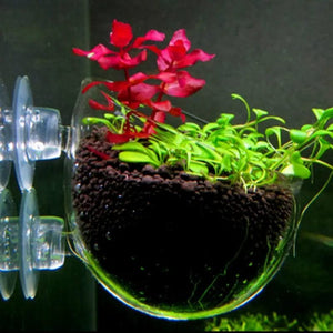Planet Gates WHITE Aquarium Decoration Fish Tank Small Glass Pot Water Potted Planting Cylinder Cup Rearing Landscape Basin