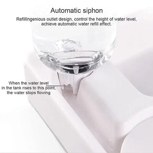Planet Gates WHITE Dog and Water Dispenser Small and Medium Sized Dog and Food Basin Bowl Automatic Water Dispenser Pet Products