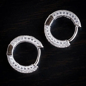 Planet Gates WHITE / E014-1-DANPAI Luxury Cubic Zirconia Gold Color Zircon Hoop Earrings For Women Luxury Circle Crystal Girls Party Jewelry