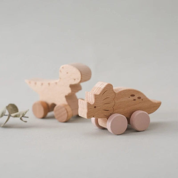 Planet Gates Wooden Baby Car Toys Beech Wooden Dinosaur Cartoon Car Teether Educational Montessori Toys For Children Teething Baby Toys