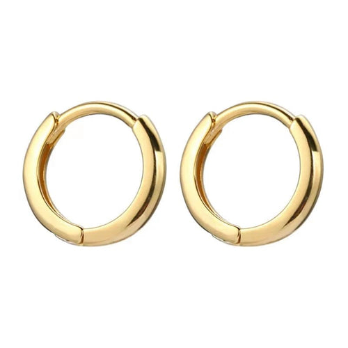 Planet Gates Y20049 gold / 5mm 2PCS Stainless Steel Minimal Hoop Earrings Crystal Zirconia Small Huggie Thin Cartilage Earring Helix Tragus Piercing Jewelry