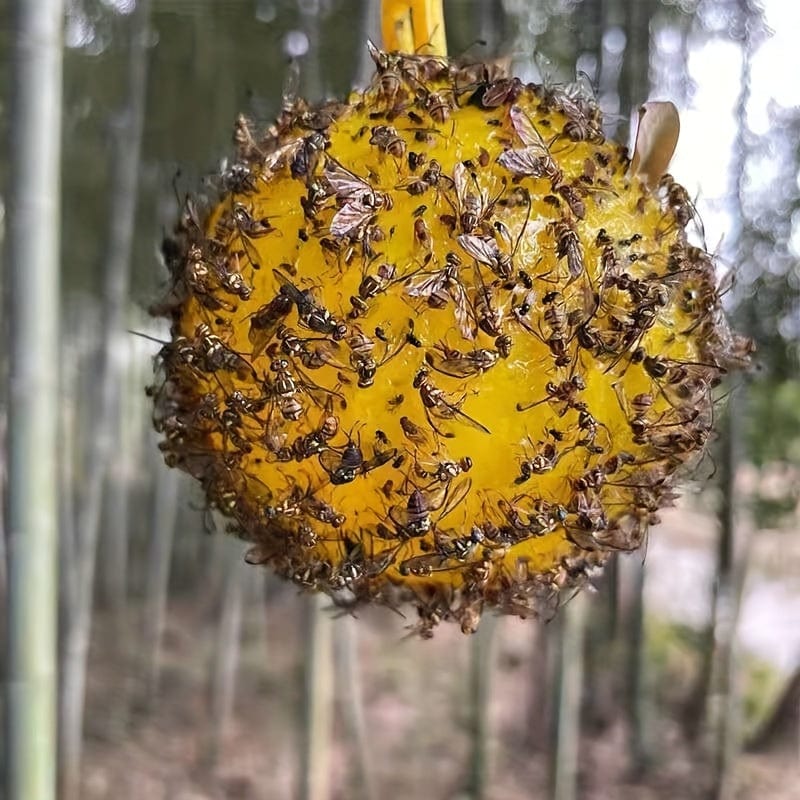 Planet Gates Yellow / 1pc 1pc/6pcs Fruit Fly Traps Sticky Traps, Gnat Traps Flying Insects Traps Ball For Indoor Outdoor House Kitchen Plants Trees Flying Insects, Pest Control
