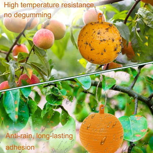 Planet Gates Yellow / 1pc 1pc/6pcs Fruit Fly Traps Sticky Traps, Gnat Traps Flying Insects Traps Ball For Indoor Outdoor House Kitchen Plants Trees Flying Insects, Pest Control