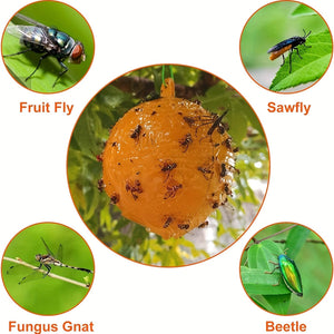 Planet Gates Yellow / 1pc 1pc/6pcs Fruit Fly Traps Sticky Traps, Gnat Traps Flying Insects Traps Ball For Indoor Outdoor House Kitchen Plants Trees Flying Insects, Pest Control