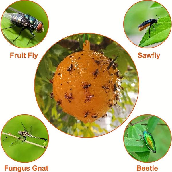 Planet Gates Yellow / 1pc 1pc/6pcs Fruit Fly Traps Sticky Traps, Gnat Traps Flying Insects Traps Ball For Indoor Outdoor House Kitchen Plants Trees Flying Insects, Pest Control