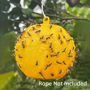 Planet Gates Yellow 1pc Cute Ball Design Sticky Traps: Capture Fruit Flies, Mosquitoes & Other Flying Insects Indoors & Outdoors Fly Catcher Non-toxic Rescue Outdoor Fly Trap Ball Insect Trap To Hang Up For Balcony, Patio, Garden Supplies