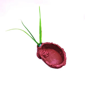 Planet Gates Yellow Pet Reptile Feeder Bowl Resin Aquarium Basin Food Water Pot Reptile Turtle Tortoise Scorpion Lizard Crabs Supplies Dropshipping