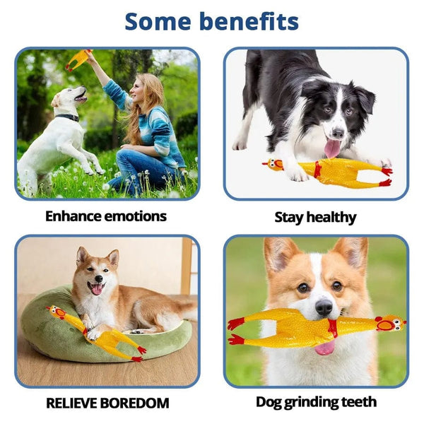 Planet Gates yellow Yellow Screaming Chicken Dog Toys Novelty and Durable Chew Toy Sound Squeeze Screaming Toy