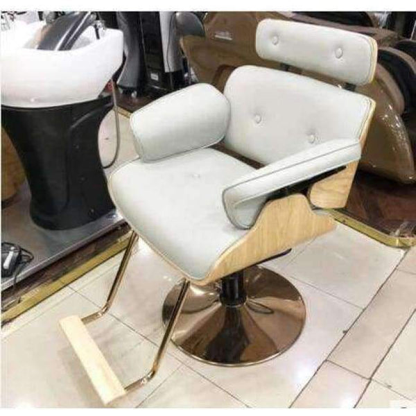Planet Gates 02 Hair salon chair hair chair put down hair chair lift manufacturer direct selling