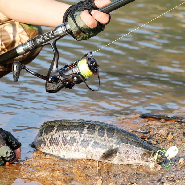 Planet Gates 1.8- 3.0m Carbon Telescopic Carp Fishing Rod Sets and 14BB Metal Spoon Reel  Lure Spinning Fishing Reel Pesca