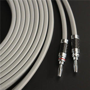Planet Gates 1 pair of high quality speaker cable 5N OFC conductor pure copper Rhodium Plated Banana Plug