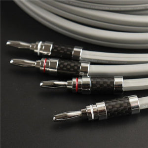 Planet Gates 1 pair of high quality speaker cable 5N OFC conductor pure copper Rhodium Plated Banana Plug