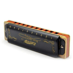 Planet Gates 10 Hole Diatonic Blues Harmonica Armonicas Mouth Ogan Woodwind Musical Instrument Melodica