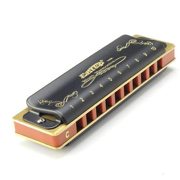 Planet Gates 10 Hole Diatonic Blues Harmonica Armonicas Mouth Ogan Woodwind Musical Instrument Melodica
