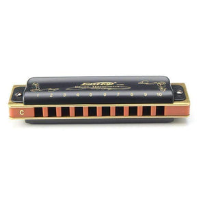 Planet Gates 10 Hole Diatonic Blues Harmonica Armonicas Mouth Ogan Woodwind Musical Instrument Melodica