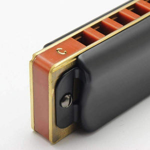 Planet Gates 10 Hole Diatonic Blues Harmonica Armonicas Mouth Ogan Woodwind Musical Instrument Melodica