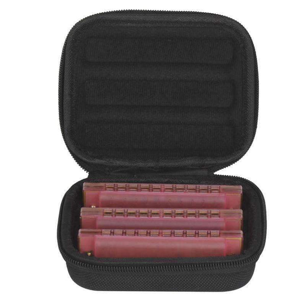 Planet Gates 10 Holes Lightweight Harmonica Case Tremolo Harmonica  Musical Instrument Part Accessories