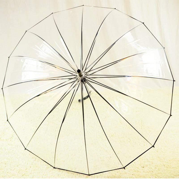 Planet Gates 100004777 1PCS Romantic Imitation Lace Transparent Cute Cat Large Long Rain Wind Umbrella For Lolita Women Travel