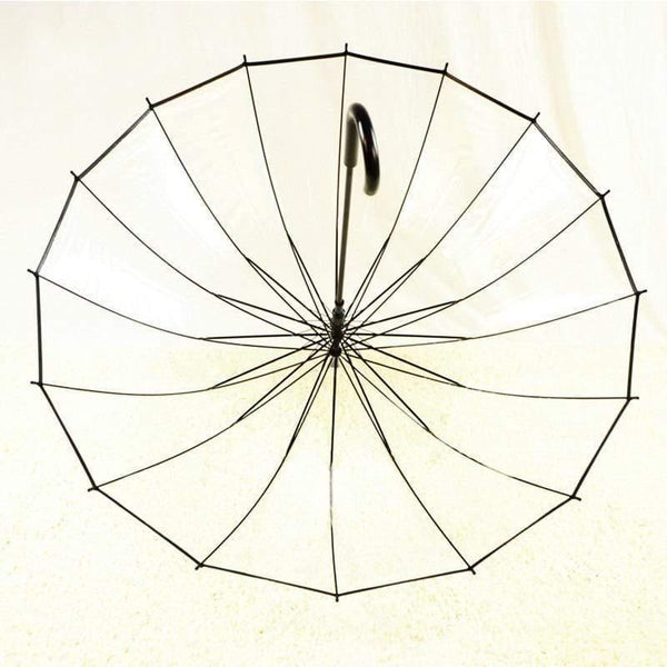 Planet Gates 100004777 1PCS Romantic Imitation Lace Transparent Cute Cat Large Long Rain Wind Umbrella For Lolita Women Travel