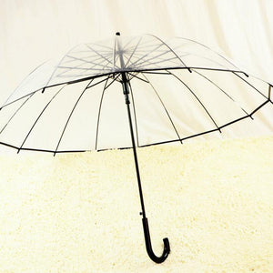 Planet Gates 100004777 1PCS Romantic Imitation Lace Transparent Cute Cat Large Long Rain Wind Umbrella For Lolita Women Travel