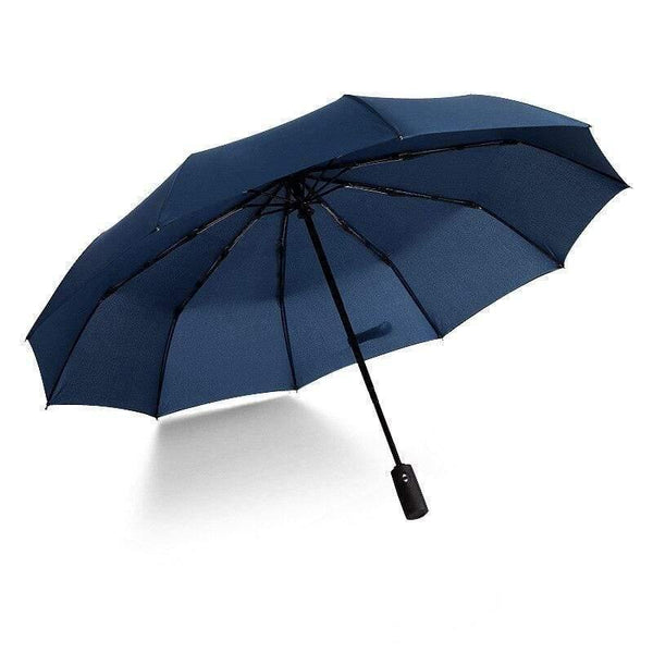 Planet Gates 100004777 2 Automatic Folding Umbrella Female Male Car Luxury Large Windproof Umbrella Umbrella Men Rain Black Paint