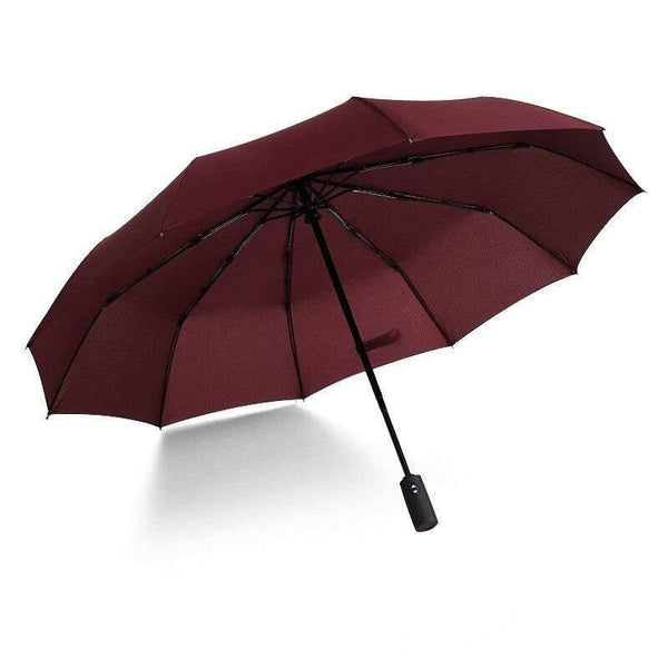 Planet Gates 100004777 4 Automatic Folding Umbrella Female Male Car Luxury Large Windproof Umbrella Umbrella Men Rain Black Paint