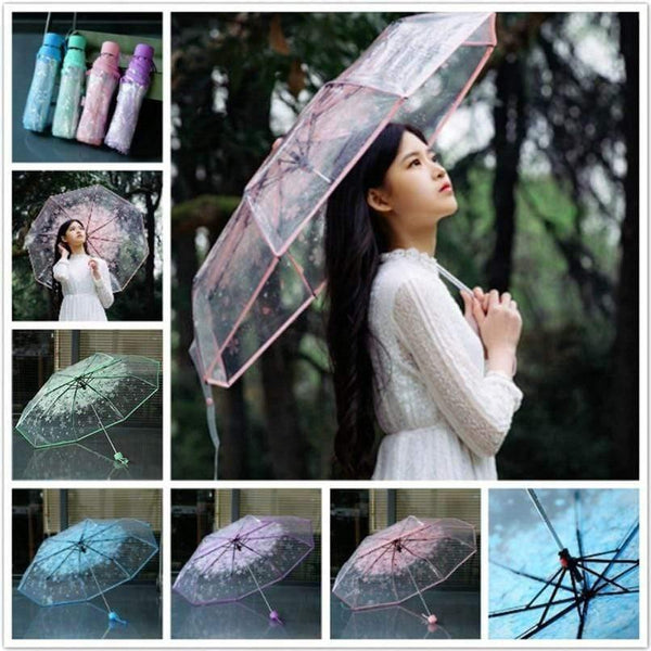 Planet Gates 100004777 4 Color Women's Rain Umbrella Transparent Clear Cherry Blossom Mushroom Apollo Sakura Printed Three-folding Umbrella AU10