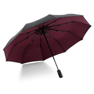 Planet Gates 100004777 8 Automatic Folding Umbrella Female Male Car Luxury Large Windproof Umbrella Umbrella Men Rain Black Paint
