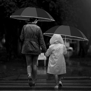 Planet Gates 100004777 Inverted Umbrella/Travel Portable Windproof Folding Umbrella,10Ribs Auto Open/Close Umbrella,Reflective Stripes For Night Safety