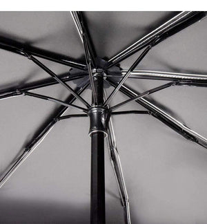 Planet Gates 100004777 Luxury Cartoon Fruit Avocado Umbrella Clear Folding Automatic Umbrellas For Children Women UV Lovely Rain Umbrella YD200037