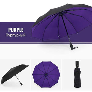 Planet Gates 100004777 Purple Windproof Double Automatic Folding Umbrella Female Male Ten Bone Car Luxury Large Business Umbrellas Men Rain Women Gift Parasol