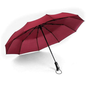 Planet Gates 100004777 Single burgundy Umbrella Rain Women Automatic Sunny And Rainy Umbrella Car For Womens Windproof Folding Umbrellas YS028