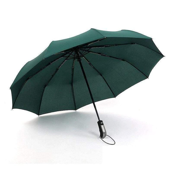 Planet Gates 100004777 Single GREEN Umbrella Rain Women Automatic Sunny And Rainy Umbrella Car For Womens Windproof Folding Umbrellas YS028