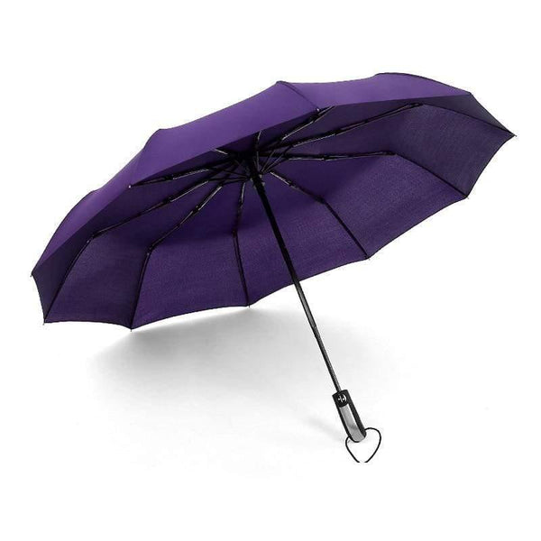 Planet Gates 100004777 Single PURPLE Umbrella Rain Women Automatic Sunny And Rainy Umbrella Car For Womens Windproof Folding Umbrellas YS028