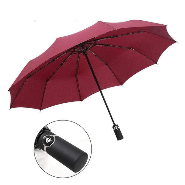 Planet Gates 100004777 Wine red Luxury Windproof Folding Automatic Blue Sky&White Clouds Umbrella For Women Men UV Auto Sun Rainy Umbrella Female YD063