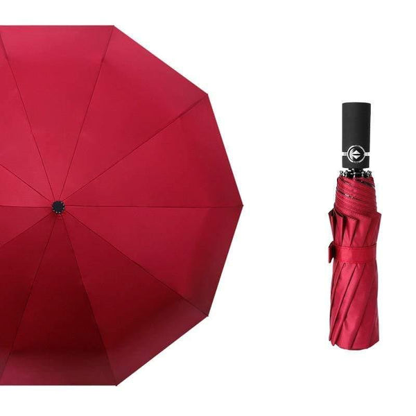 Planet Gates 100004777 Wine red uv Luxury Windproof Folding Automatic Blue Sky&White Clouds Umbrella For Women Men UV Auto Sun Rainy Umbrella Female YD063