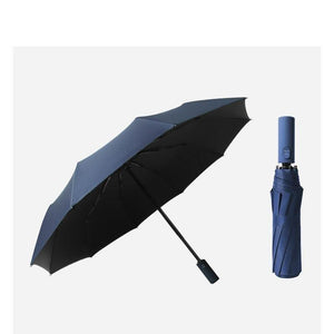 Planet Gates 100004777 YS200045NY Solid Color Double Automatic Umbrella Rain Sunny&Rainy Business Umbrella For Women Windproof Folding Umbrellas YS200046