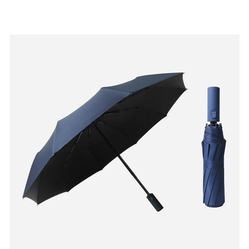 Planet Gates 100004777 YS200045NY Solid Color Double Automatic Umbrella Rain Sunny&Rainy Business Umbrella For Women Windproof Folding Umbrellas YS200046