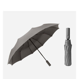 Planet Gates 100004777 YS200046GY Solid Color Double Automatic Umbrella Rain Sunny&Rainy Business Umbrella For Women Windproof Folding Umbrellas YS200046