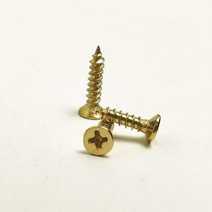 100pcs/Lot M2 M3 M2.5 Screws Bronze / Silver / Golden Color Philips Head Fit Hinges Self-Tapping Screws Furniture Hardware