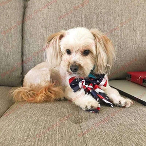 Planet Gates 100pcs Pet dog Cat Wedding Accessories Supplies Pet Bowties Neckties Dog Holiday Grooming Products Christmas Supplies 50colour