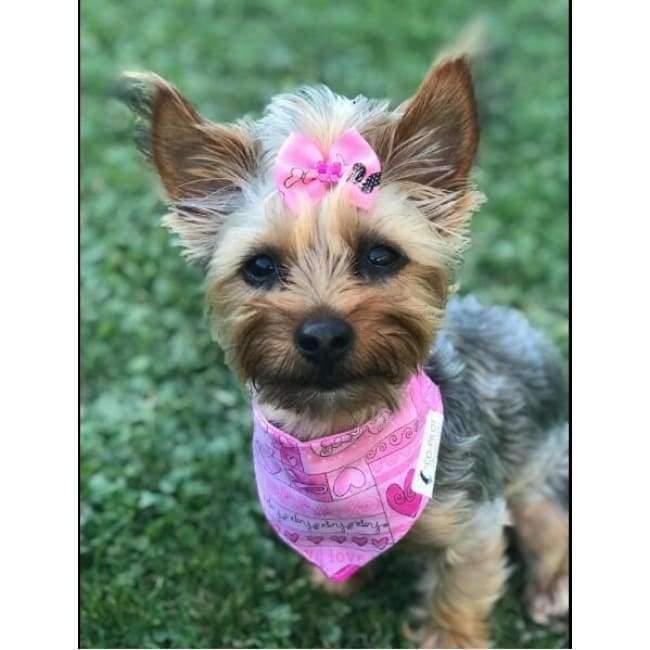 Planet Gates 100pcs Pet Supplies Dog Grooming Bows Rhinestone Pearls Pet Dog Hair Bows Pet grooming Accessories Rubber Bands Pet Products