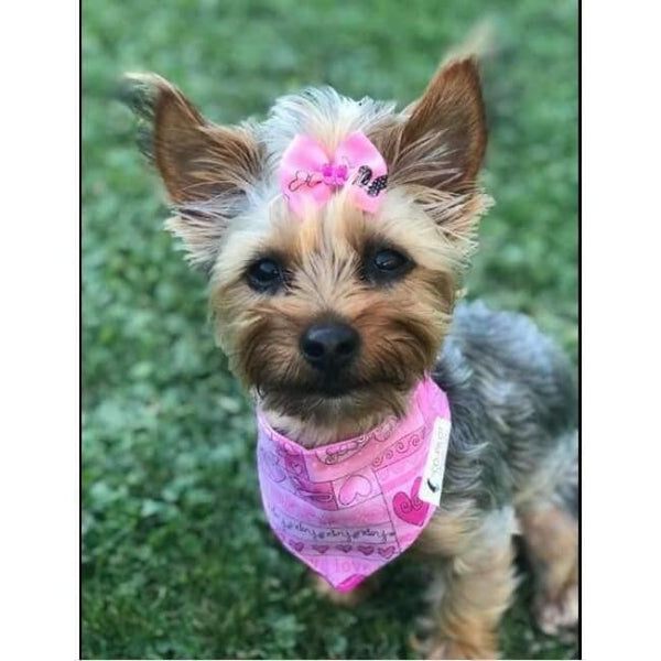 Planet Gates 100pcs Pet Supplies Dog Grooming Bows Rhinestone Pearls Pet Dog Hair Bows Pet grooming Accessories Rubber Bands Pet Products