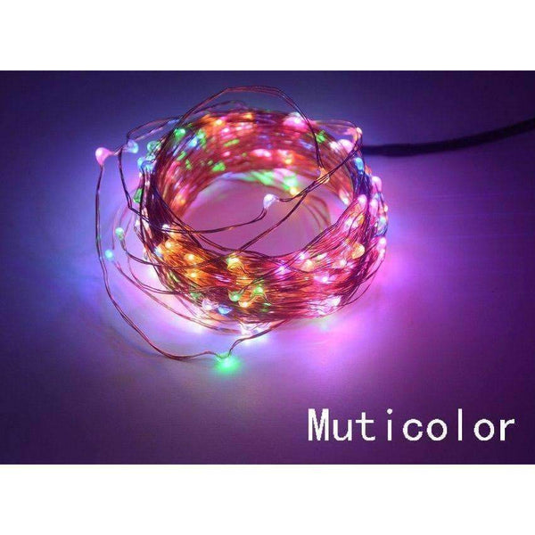 Planet Gates 10M 20M 30M 50M copper wire led fairy light string holiday lighting for Christmas garland wedding party decoration with adaper