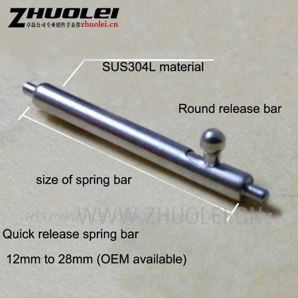 Planet Gates 10mm Quick Release 304 Stainless Steel Watch Spring Bars|Watches for Parts 10pcs per lot 10mm- 26mm width pins accessories