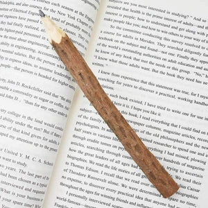 Planet Gates 10pcs/lot Creative Tree Bark Pencil Cute Kawaii Wooden Pens For Kids Writing Gift School Supplies