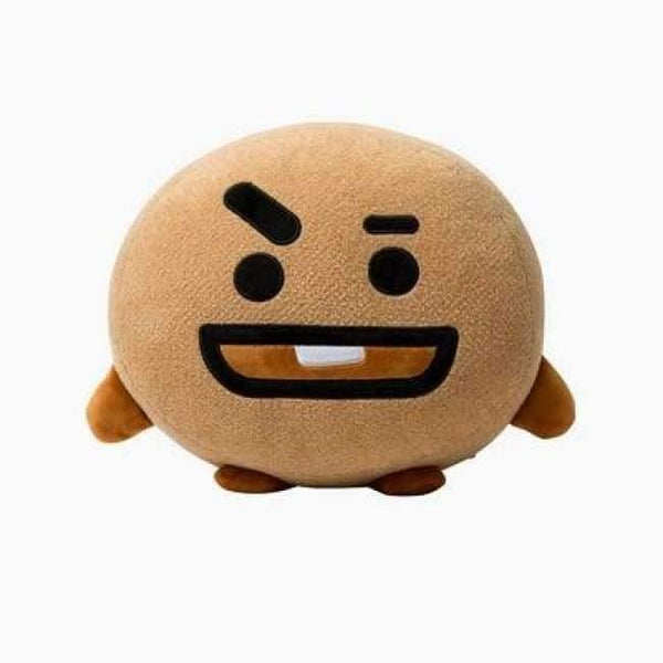 Planet Gates 11.8inch x 15.7inch / 2 Cartoon BTS BT21 Plush Doll Toy Bangtan Boys Throw Pillow Cushion Boys Throw Pillow Perfect for Sofa Home Decor,11.8''x15.7