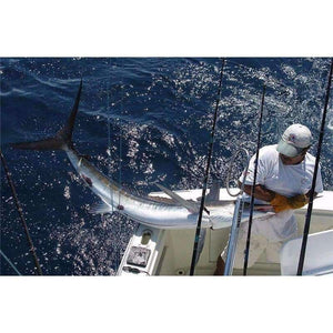 Planet Gates 12 / 7000 Series Fishing Reels Jigging Full Metal Spinning Reels EF1000-7000 12BB 5.2: 1 Fishing Reels Spinning Fishing Tools Accessories